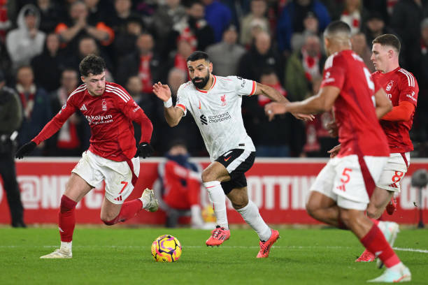 他们绝不会 他们绝不会